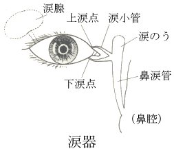 目やに が 出る 病気