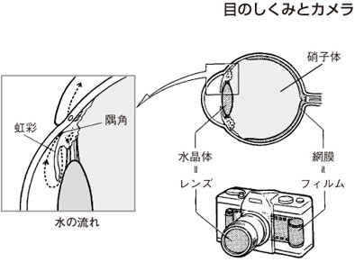 目のしくみとカメラ