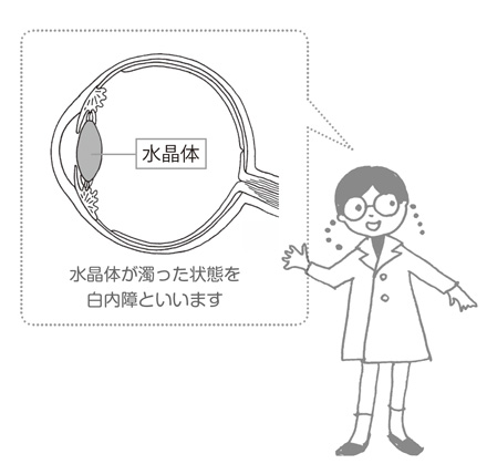 æ°´æ¶ä½ãæ¿ã£ãç¶æã
ç½åéã¨ããã¾ã