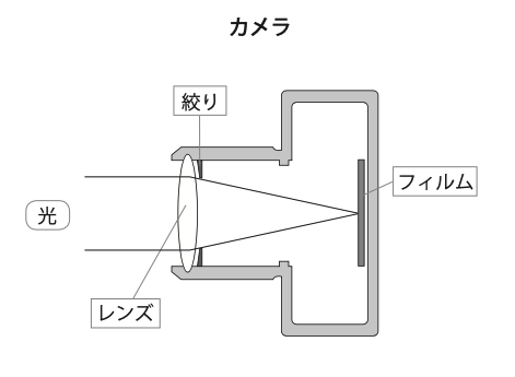 緑内障の2つのタイプ-開放隔角緑内障・閉塞隔角緑内障(隅角が塞がる)