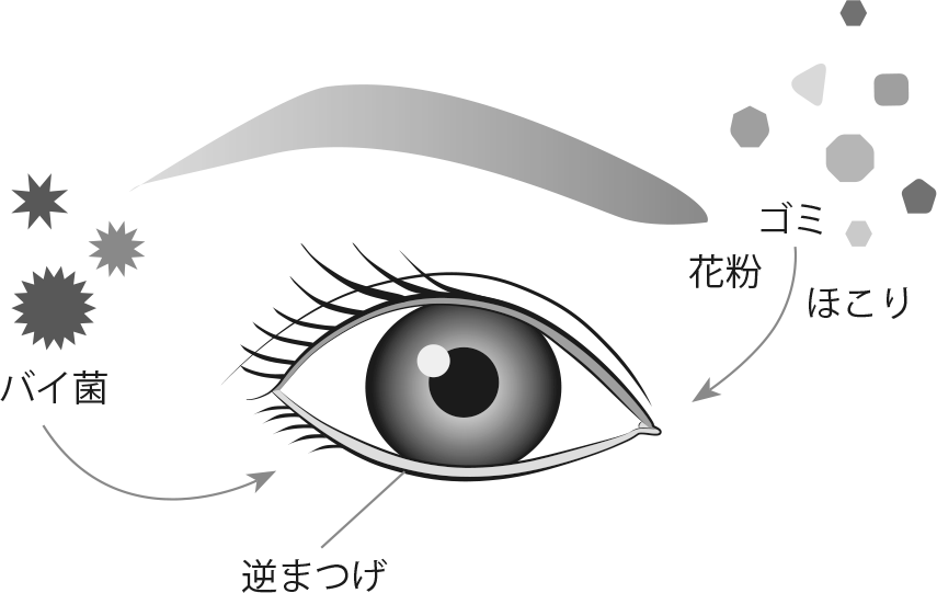 5 涙が多く出る原因 流涙症で困っている方へ 目についての健康情報 公益社団法人 日本眼科医会